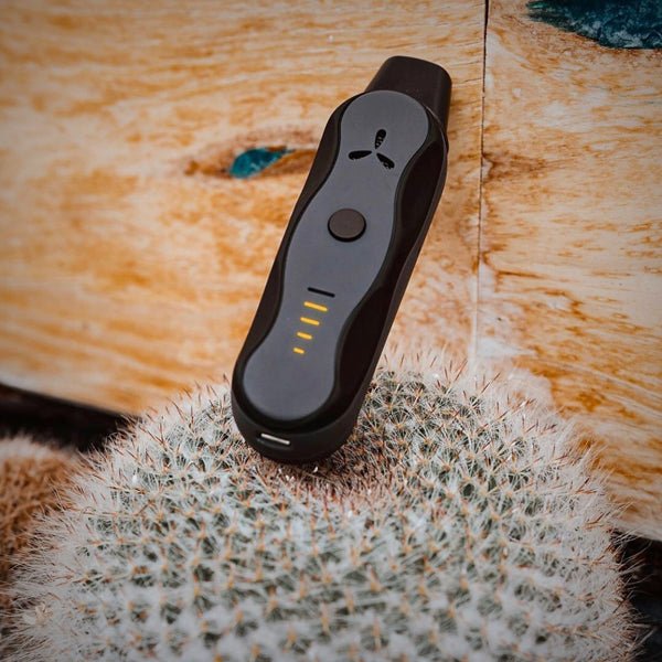 AirVape XS GO vaporizer showing oval-shaped chamber design