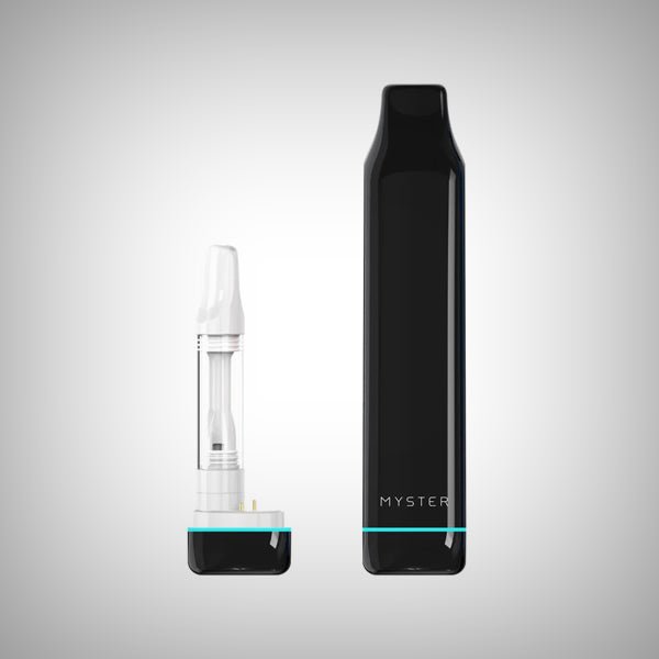 Myster SlickStick Slim black 510 battery shown with detached internal component