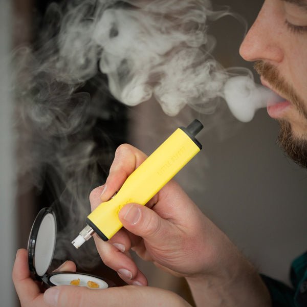 Little Dipper Vaporizer from Dip Devices (upgraded) by Dip Devices | Vaporizer | 421Store online smoke shop