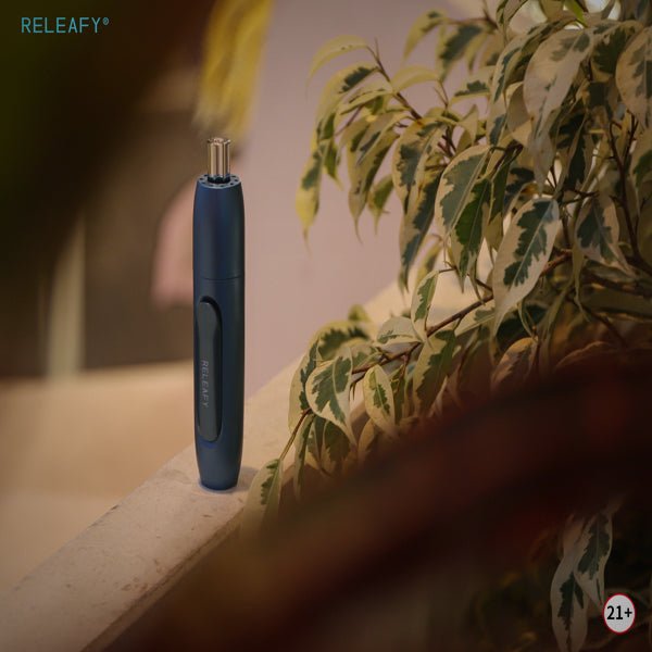 Releafy Torch 2.0 Dab Pen by Releafy | | 421Store online smoke shop